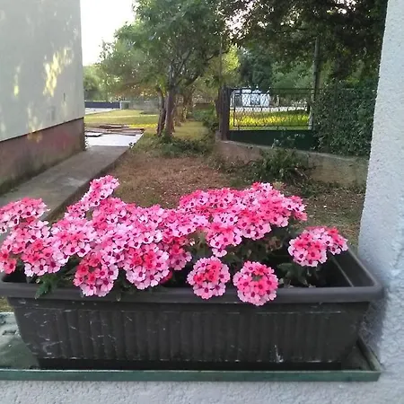 Apartman Nikol I Petra, 50m From The Beach Bibinje