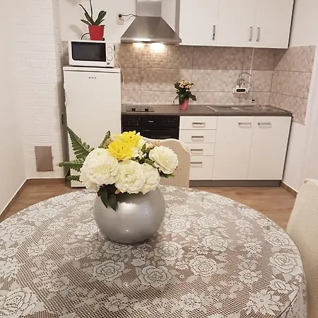 Apartman Nikol I Petra, 50m From The Beach * Bibinje