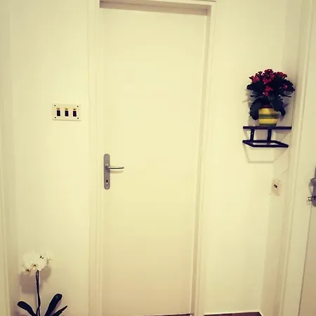 Apartman Nikol I Petra, 50m From The Beach Bibinje