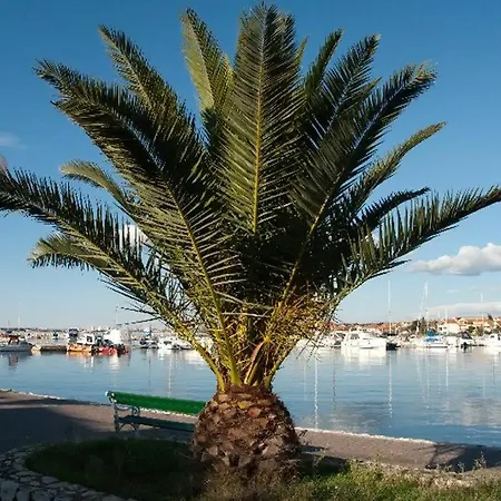 Apartman Nikol I Petra, 50m From The Beach
